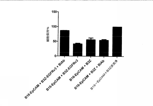 2015506954-抗原をトランスフェクトされたＴ細胞を伴う二重特異性抗体分子及び医薬におけるそれらの使用 図000032