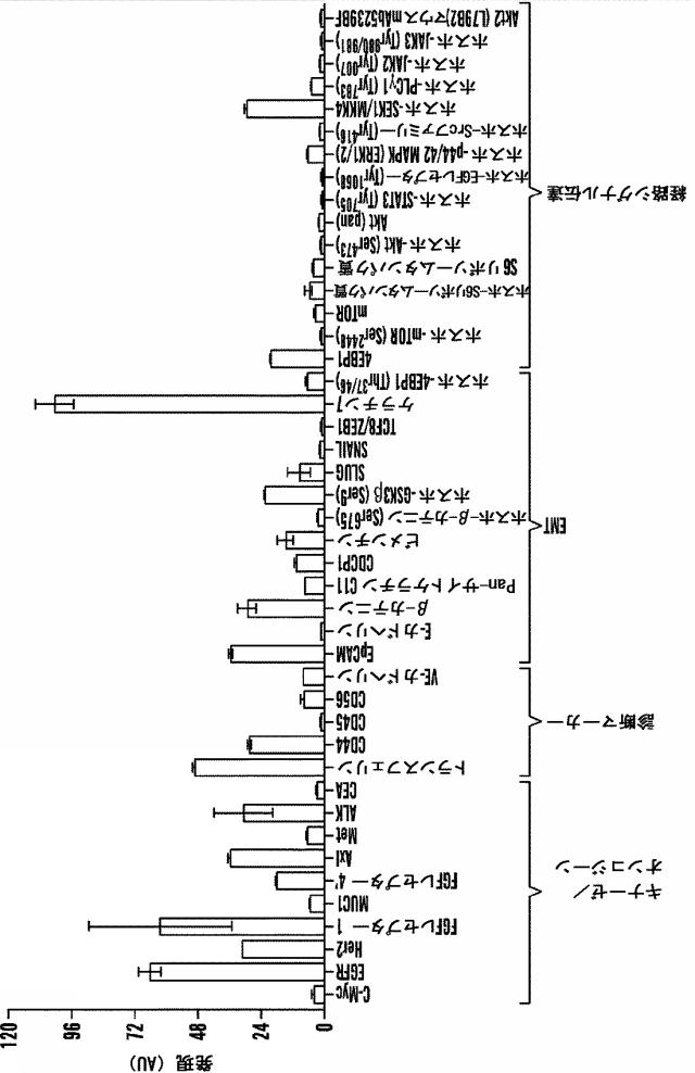 2016525344-標的分子のマルチプレックス検出のための方法、キット、およびシステム、ならびにそれらの使用 図000032