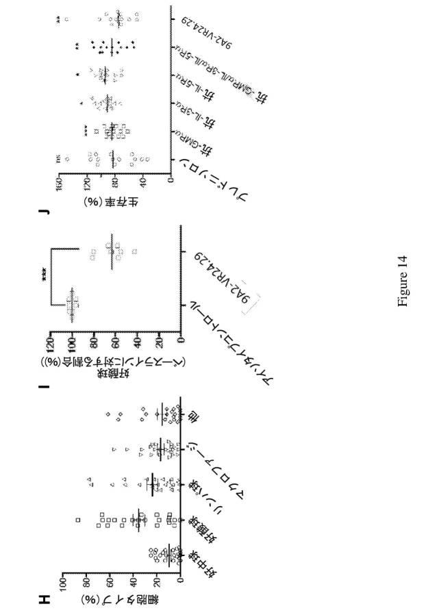 2019500859-ＣＤ１３１結合タンパク質とその利用 図000032