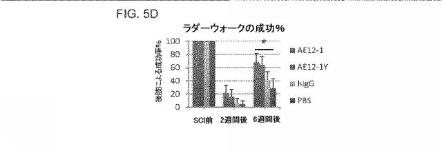 2019517480-脊髄損傷及び疼痛を処置するための抗ＲＧＭａ（Ｒｅｐｕｌｓｉｖｅ  Ｇｕｉｄａｎｃｅ  Ｍｏｌｅｃｕｌｅ  Ａ）アンタゴニスト抗体 図000032