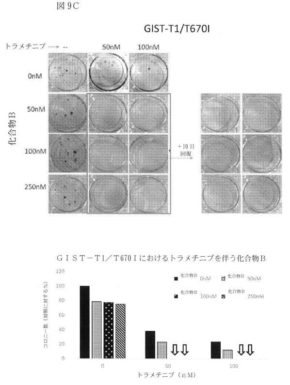 2021512105-消化管間質腫瘍の治療のための併用療法 図000032