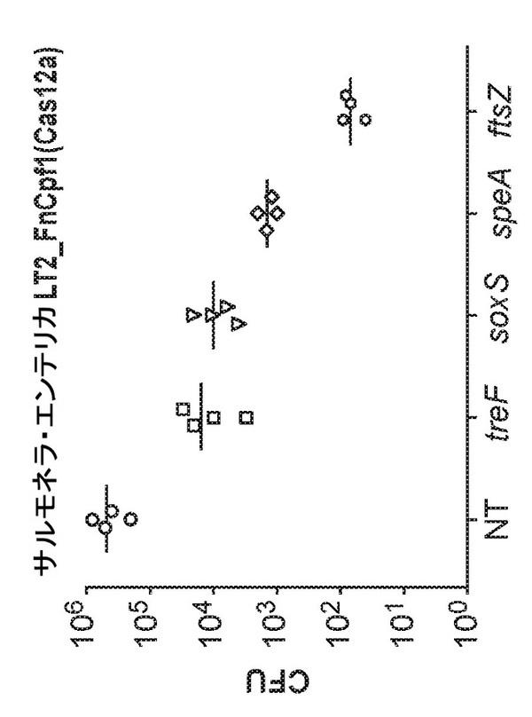 2021525105-標的細菌を死滅させるための方法および組成物 図000032
