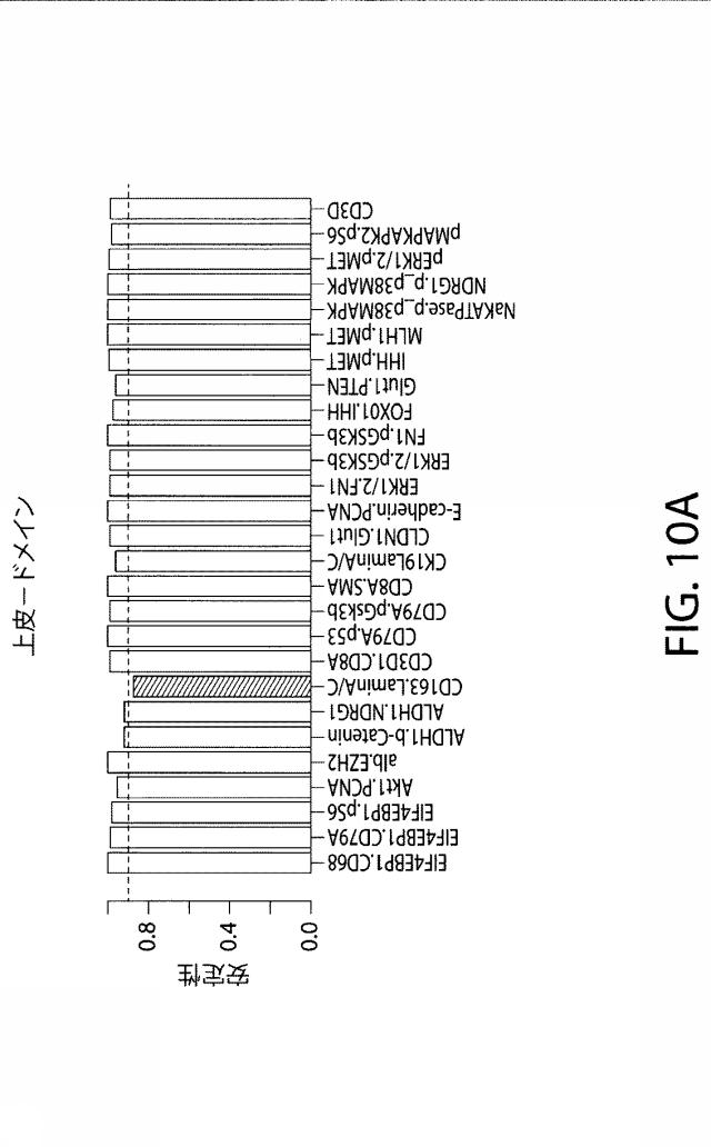 2021525361-空間マルチパラメータ細胞亜細胞画像データからの癌再発の予測 図000032