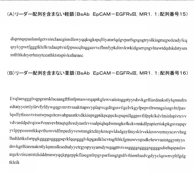 2015506954-抗原をトランスフェクトされたＴ細胞を伴う二重特異性抗体分子及び医薬におけるそれらの使用 図000033