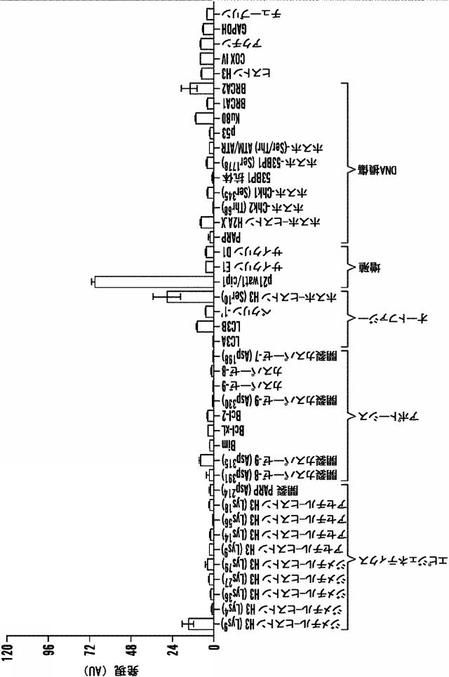 2016525344-標的分子のマルチプレックス検出のための方法、キット、およびシステム、ならびにそれらの使用 図000033
