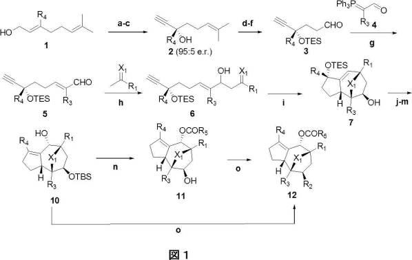 2018514526-癌および糖尿病の治療に有用なエポキシアズレン誘導体 図000033