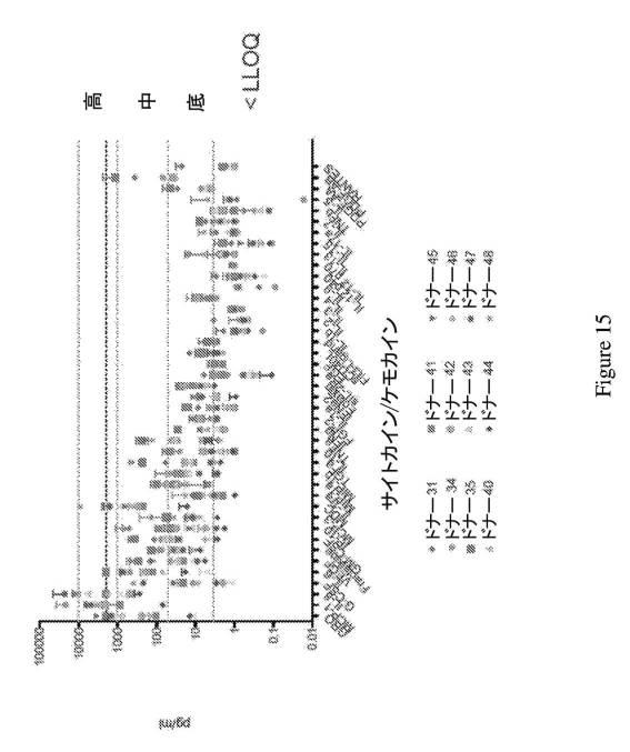 2019500859-ＣＤ１３１結合タンパク質とその利用 図000033