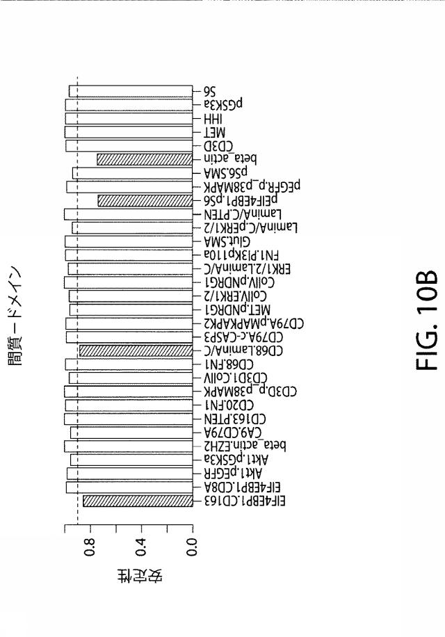 2021525361-空間マルチパラメータ細胞亜細胞画像データからの癌再発の予測 図000033