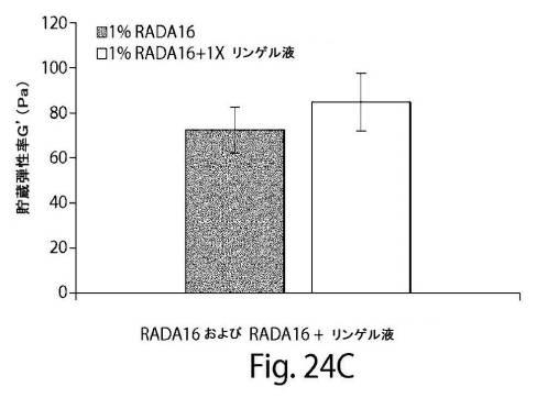 2017513928-肺大気胞を治療するための自発組織化ペプチド 図000034