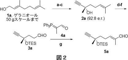 2018514526-癌および糖尿病の治療に有用なエポキシアズレン誘導体 図000034