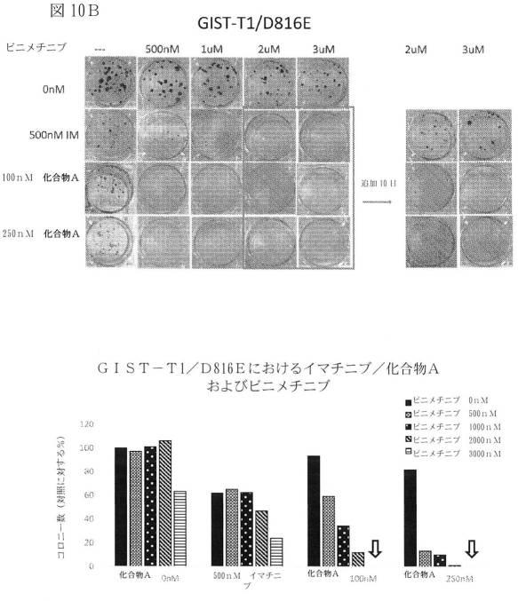 2021512105-消化管間質腫瘍の治療のための併用療法 図000034