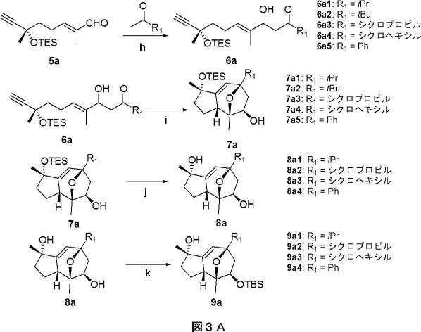 2018514526-癌および糖尿病の治療に有用なエポキシアズレン誘導体 図000035