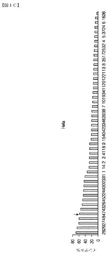 2018532404-リボ核タンパク質トランスフェクション薬剤 図000035