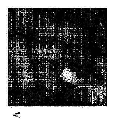 2019535860-ガラス複合粒子とその使用 図000035