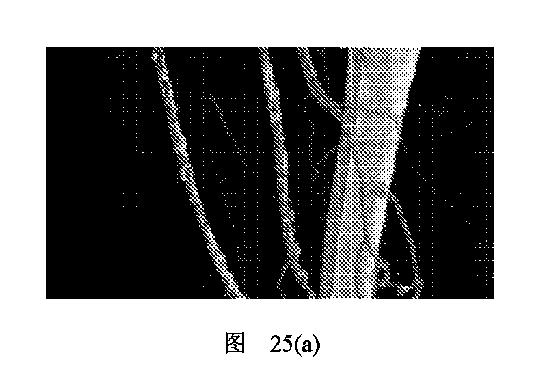 2020506452-ＨＭＤＳに基づく医学画像形成装置 図000035