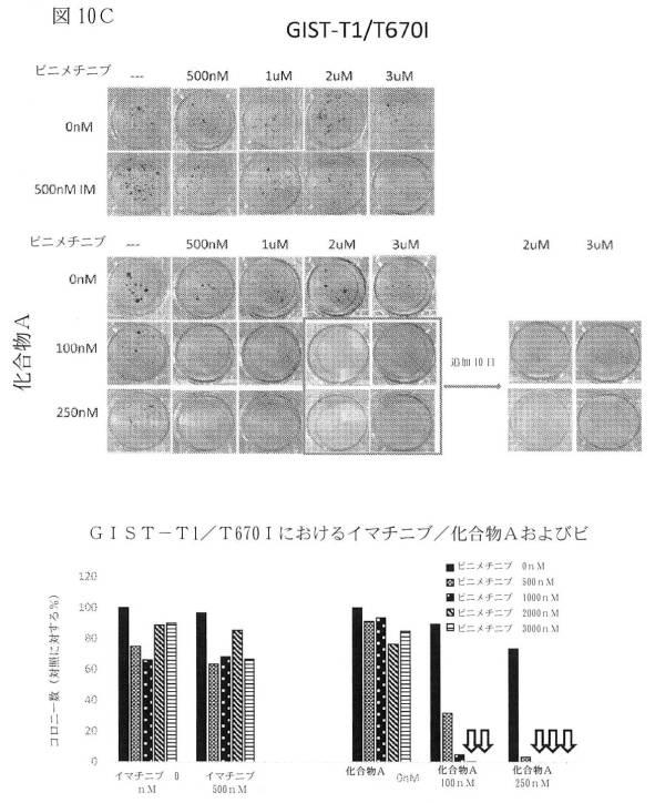 2021512105-消化管間質腫瘍の治療のための併用療法 図000035
