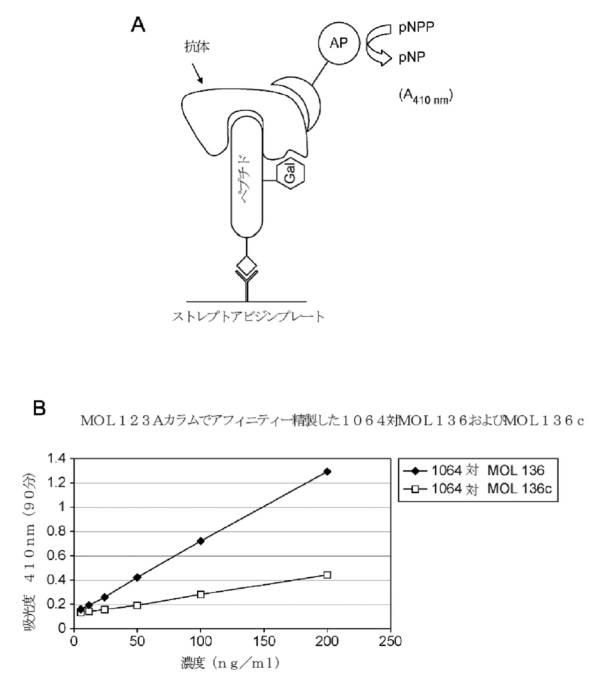 2021531763-細菌性膣炎の診断 図000035