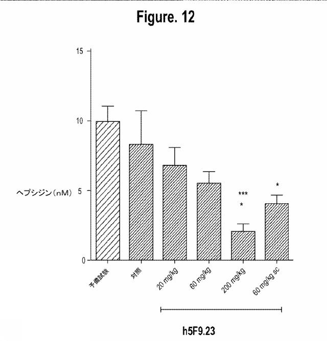 2015502753-鉄関連障害を診断および治療するための組成物および方法 図000036