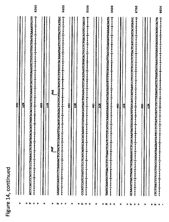 2018508230-異常ヘモグロビン症の予防及び治療のためのウイルスベクター 図000036