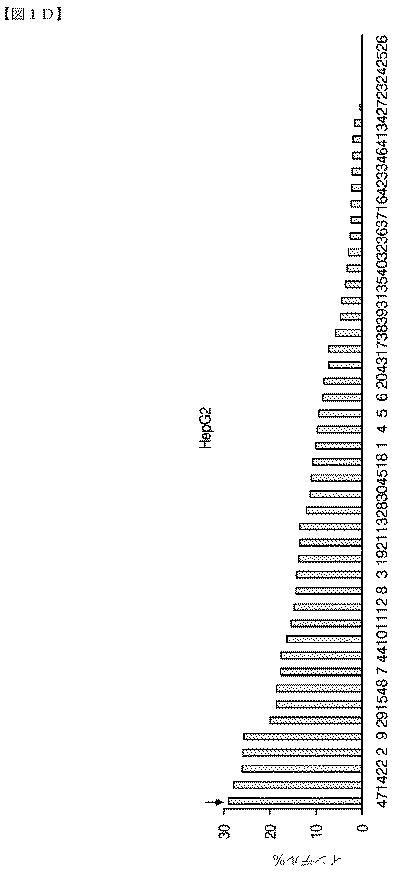 2018532404-リボ核タンパク質トランスフェクション薬剤 図000036