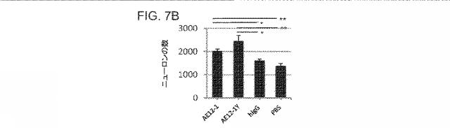 2019517480-脊髄損傷及び疼痛を処置するための抗ＲＧＭａ（Ｒｅｐｕｌｓｉｖｅ  Ｇｕｉｄａｎｃｅ  Ｍｏｌｅｃｕｌｅ  Ａ）アンタゴニスト抗体 図000036