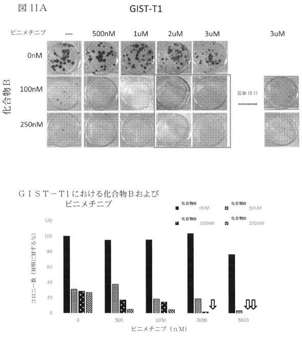 2021512105-消化管間質腫瘍の治療のための併用療法 図000036