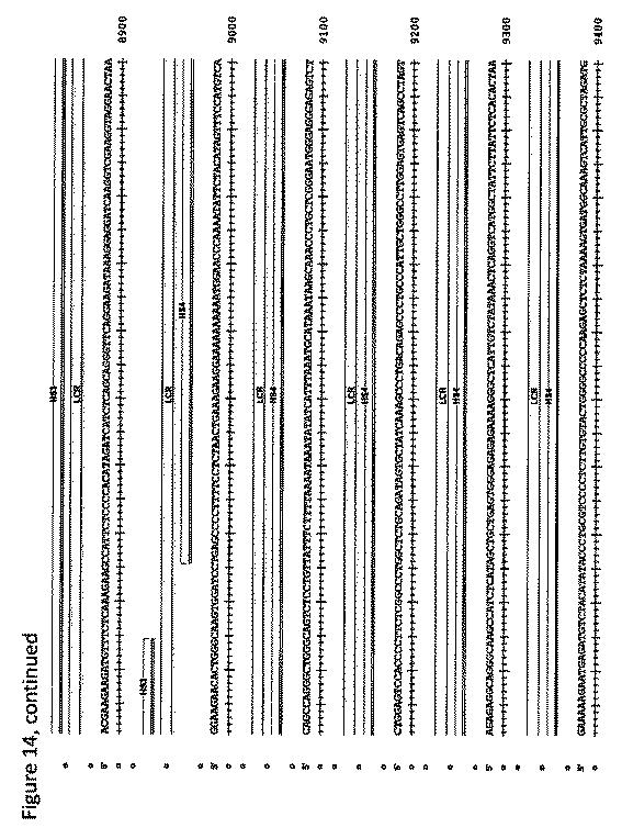 2018508230-異常ヘモグロビン症の予防及び治療のためのウイルスベクター 図000037