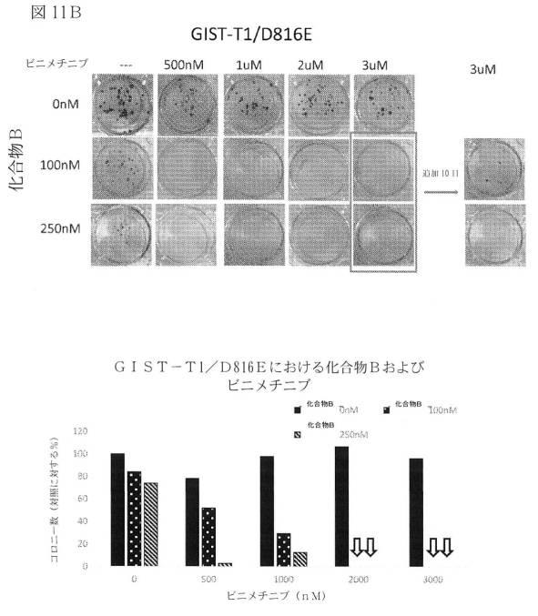 2021512105-消化管間質腫瘍の治療のための併用療法 図000037