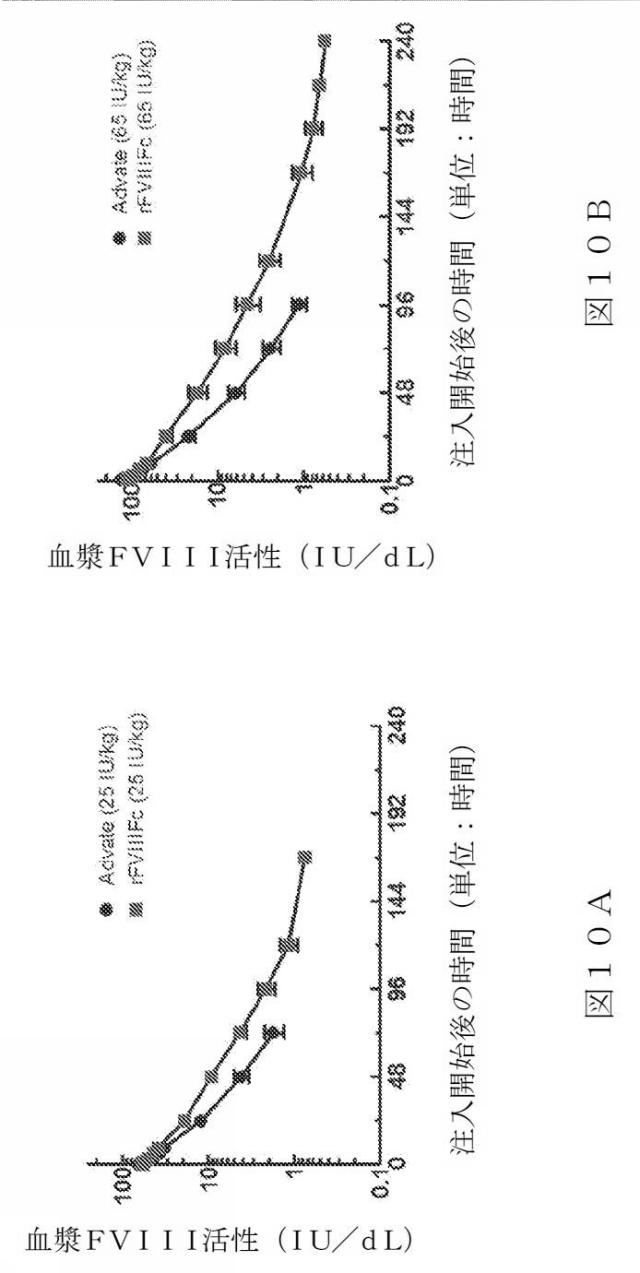 2015504898-第ＶＩＩＩ因子療法を受けている個体における第ＶＩＩＩ因子に対する免疫原性を低下させる方法 図000038