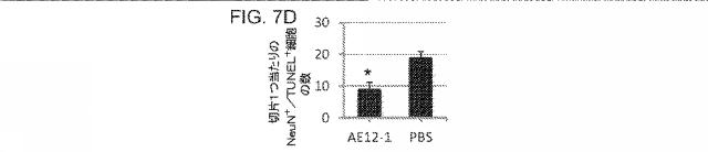 2019517480-脊髄損傷及び疼痛を処置するための抗ＲＧＭａ（Ｒｅｐｕｌｓｉｖｅ  Ｇｕｉｄａｎｃｅ  Ｍｏｌｅｃｕｌｅ  Ａ）アンタゴニスト抗体 図000038