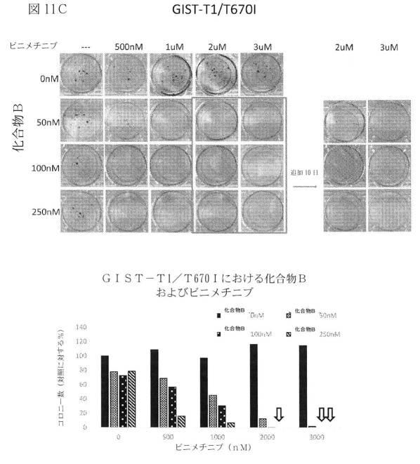 2021512105-消化管間質腫瘍の治療のための併用療法 図000038