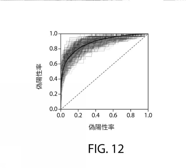 2021525361-空間マルチパラメータ細胞亜細胞画像データからの癌再発の予測 図000038