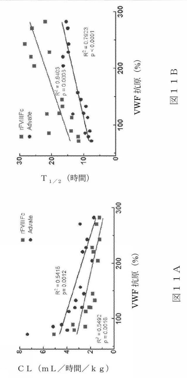 2015504898-第ＶＩＩＩ因子療法を受けている個体における第ＶＩＩＩ因子に対する免疫原性を低下させる方法 図000039