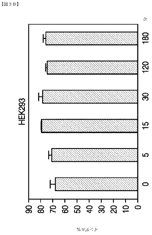2018532404-リボ核タンパク質トランスフェクション薬剤 図000039