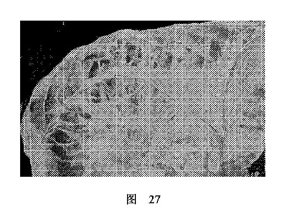 2020506452-ＨＭＤＳに基づく医学画像形成装置 図000039