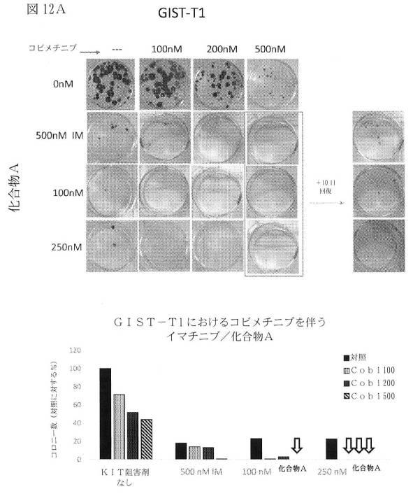 2021512105-消化管間質腫瘍の治療のための併用療法 図000039