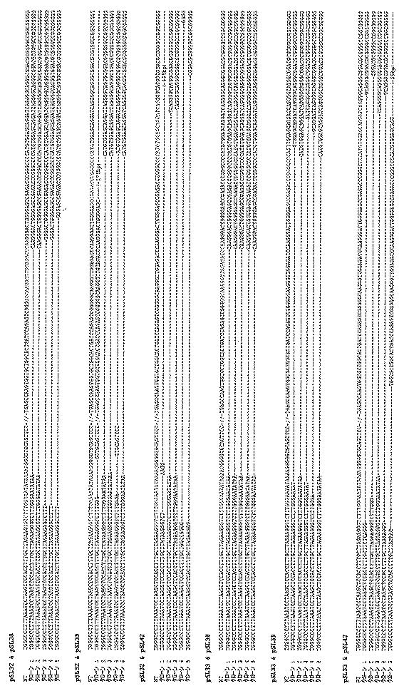 2017521079-生殖系列細胞を切除するＮＡＮＯＳノックアウト 図000040