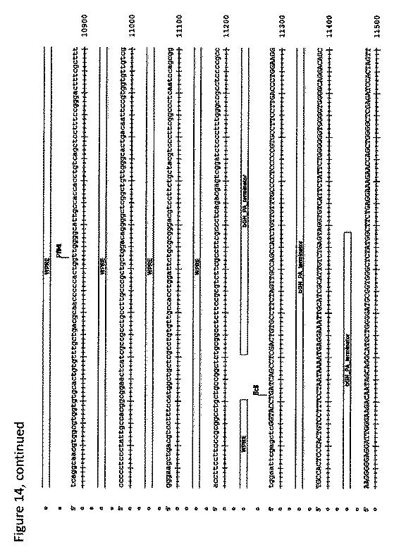 2018508230-異常ヘモグロビン症の予防及び治療のためのウイルスベクター 図000040