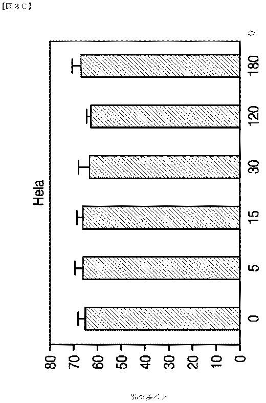 2018532404-リボ核タンパク質トランスフェクション薬剤 図000040