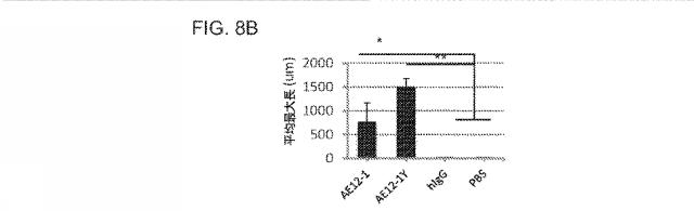 2019517480-脊髄損傷及び疼痛を処置するための抗ＲＧＭａ（Ｒｅｐｕｌｓｉｖｅ  Ｇｕｉｄａｎｃｅ  Ｍｏｌｅｃｕｌｅ  Ａ）アンタゴニスト抗体 図000040