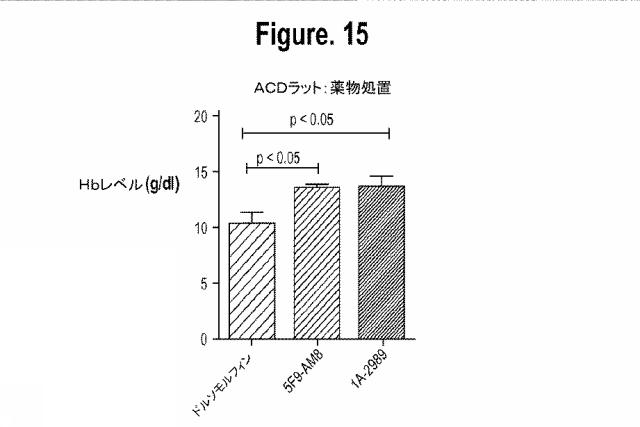 2015502753-鉄関連障害を診断および治療するための組成物および方法 図000041