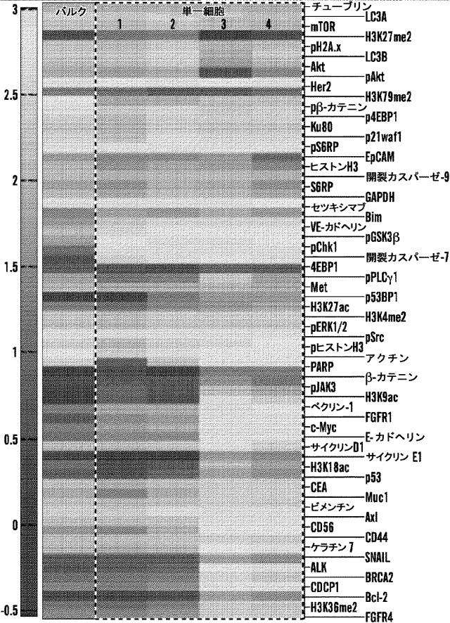 2016525344-標的分子のマルチプレックス検出のための方法、キット、およびシステム、ならびにそれらの使用 図000041