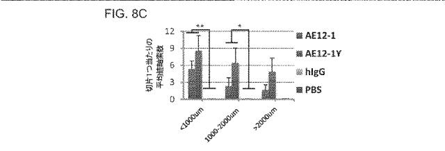 2019517480-脊髄損傷及び疼痛を処置するための抗ＲＧＭａ（Ｒｅｐｕｌｓｉｖｅ  Ｇｕｉｄａｎｃｅ  Ｍｏｌｅｃｕｌｅ  Ａ）アンタゴニスト抗体 図000041