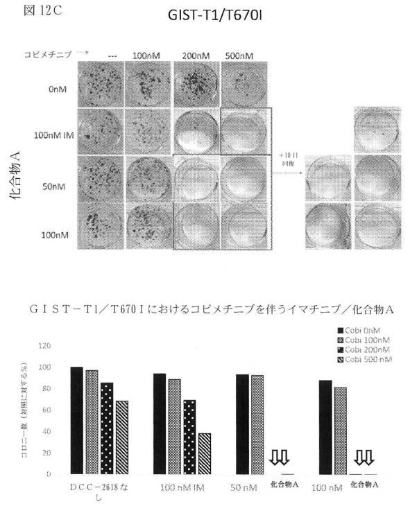 2021512105-消化管間質腫瘍の治療のための併用療法 図000041