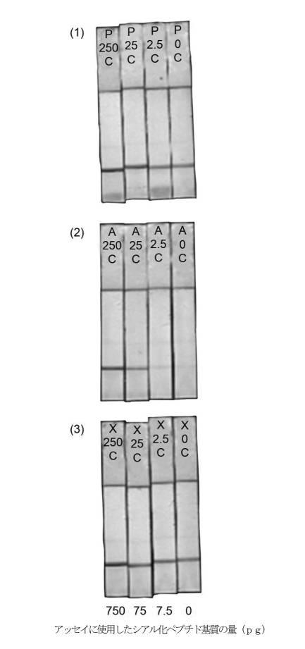 2021531763-細菌性膣炎の診断 図000041