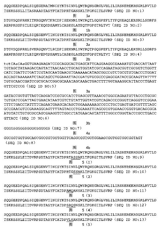 2022502078-ＡＦＰ抗原を識別する高親和性Ｔ細胞受容体 図000041