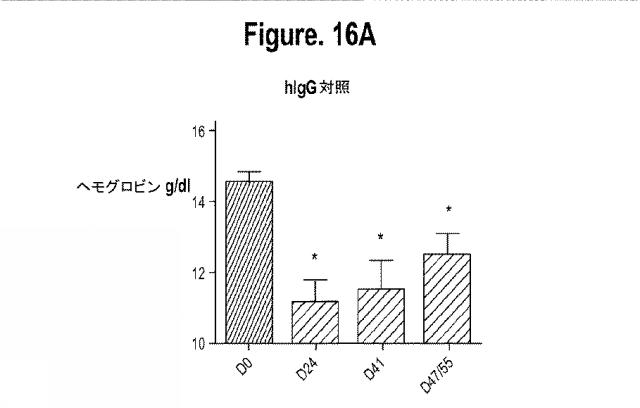 2015502753-鉄関連障害を診断および治療するための組成物および方法 図000042