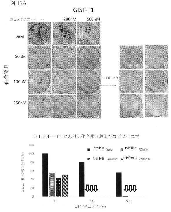 2021512105-消化管間質腫瘍の治療のための併用療法 図000042