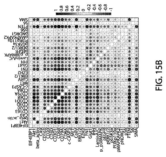 2021525361-空間マルチパラメータ細胞亜細胞画像データからの癌再発の予測 図000042