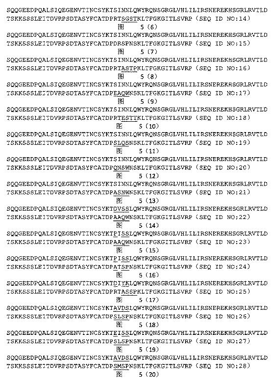 2022502078-ＡＦＰ抗原を識別する高親和性Ｔ細胞受容体 図000042